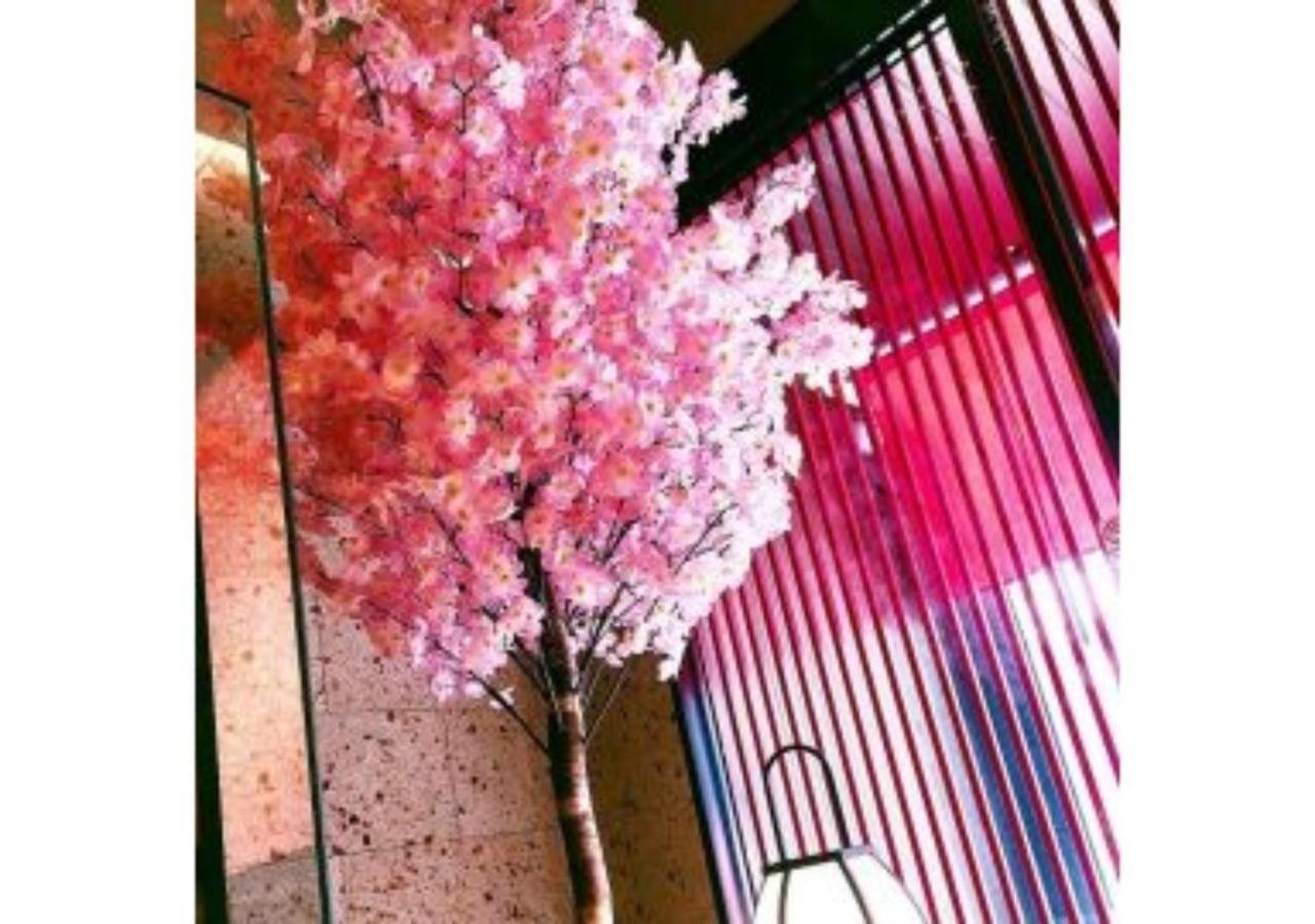Sakura Sky Hotel - Vacation Stay 18444V โตเกียว ภายนอก รูปภาพ